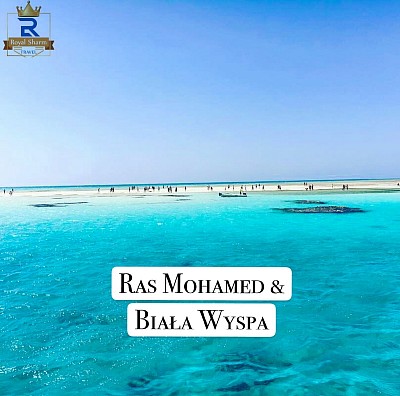 RAS MOHAMMED  I BIAŁY WYSPA– REJS (35$)